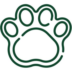 Bear print icon