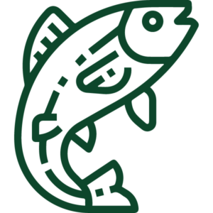 Fish icon