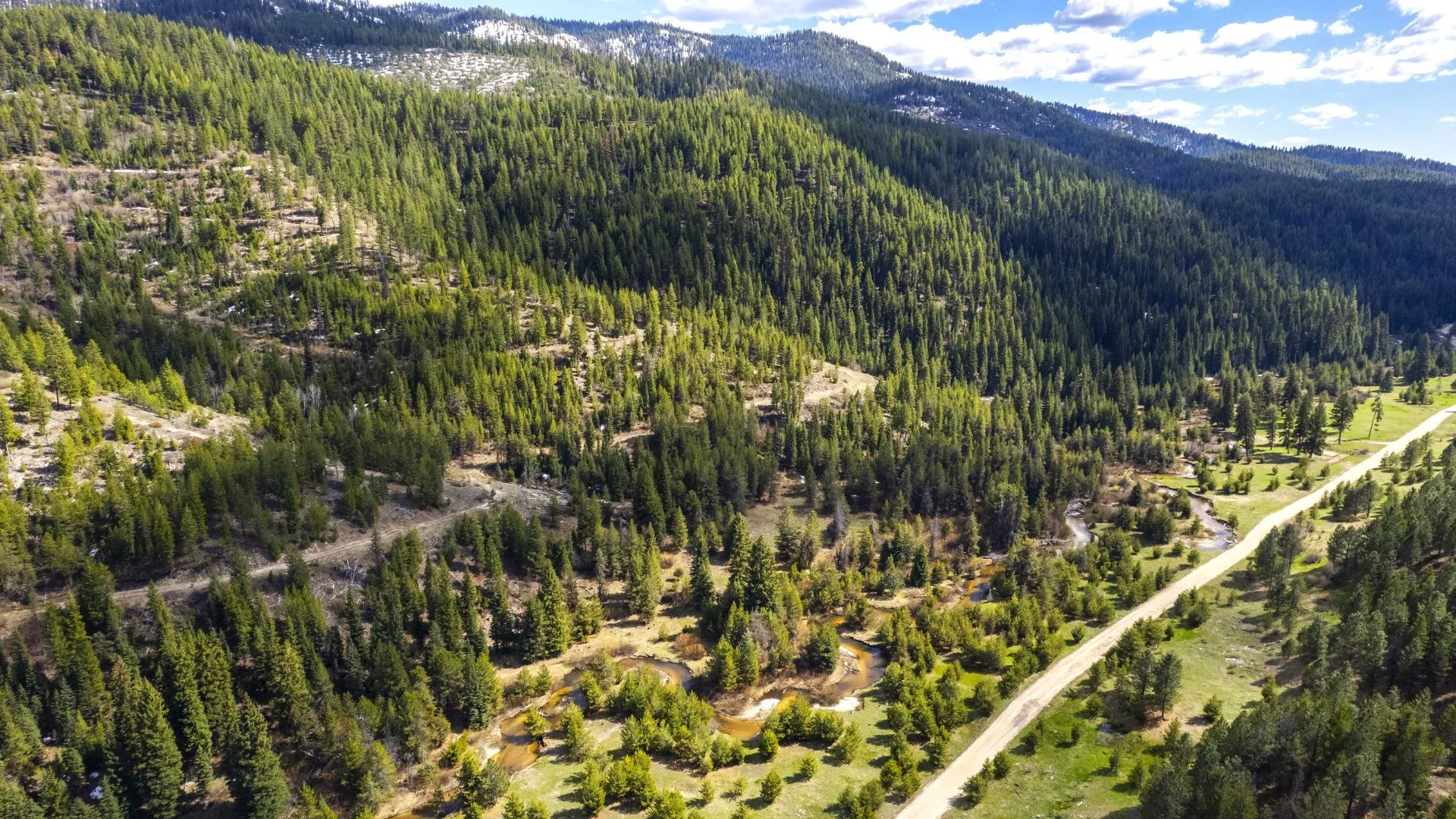 Idaho Forestry: Past, Present, and Future