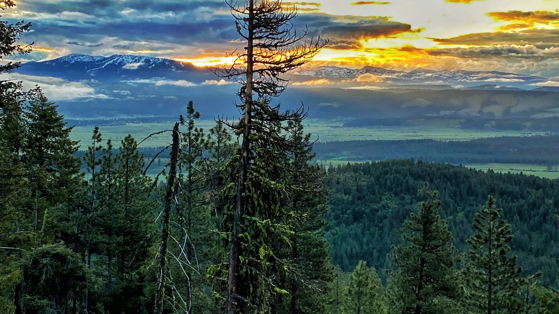 Land Stewardship at Scale: How DF Development Practices Sustainable Forest Management