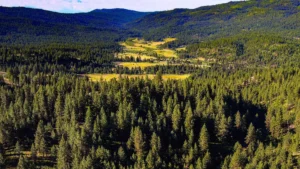 10 Things Every Broker and Realtor Should Know About Acreage for Sale in Idaho