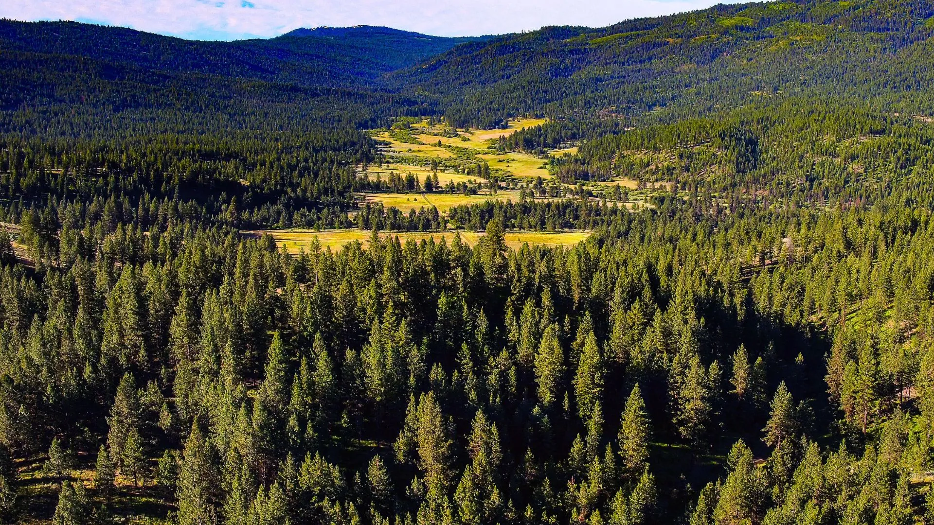 10 Things Every Broker and Realtor Should Know About Acreage for Sale in Idaho