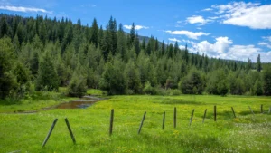 How to Finance Idaho Property: Loans, Lenders, and Strategic Options