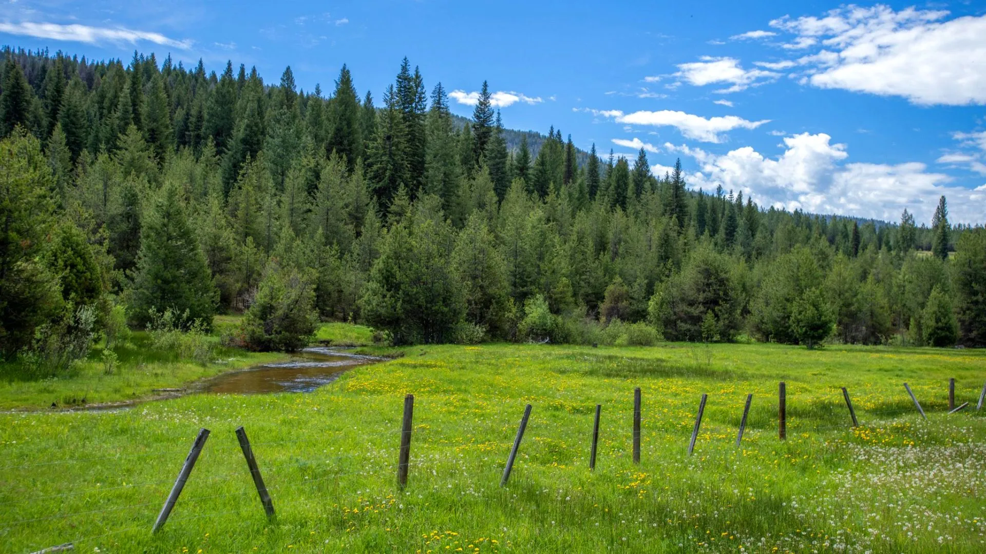 How to Finance Idaho Property: Loans, Lenders, and Strategic Options