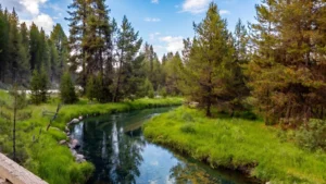 National Forest Land in Idaho