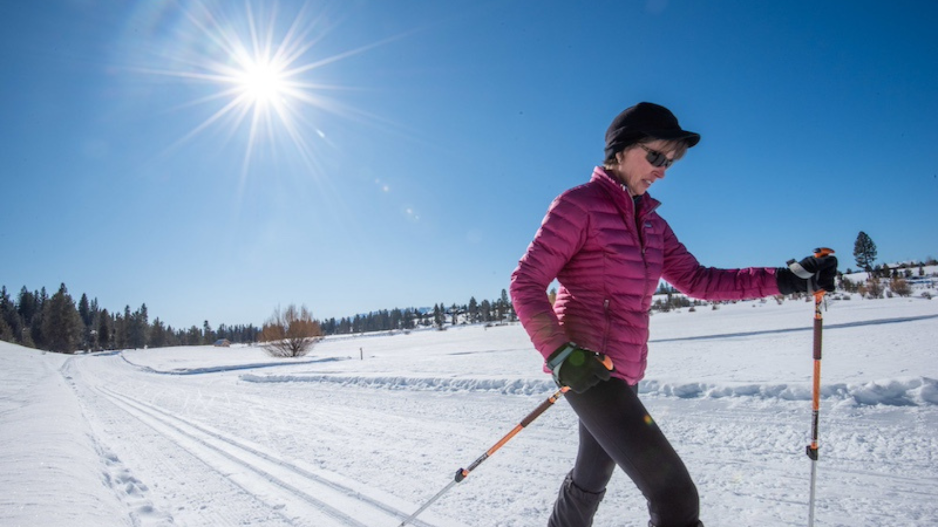 A woman in a pink jacket cross-country skis on a groomed Nordic trail through a sunny, snowy meadow lined with pine trees.